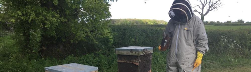 Barton St David Scout Group